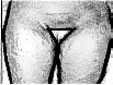 lifiting-de-coxas2